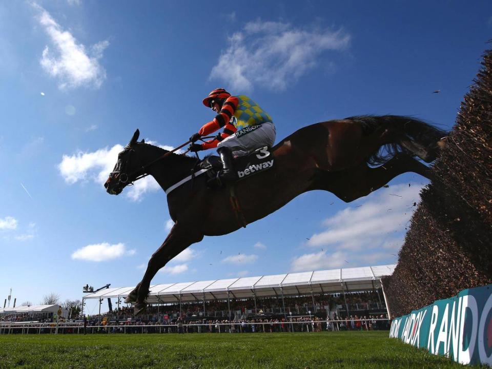Might Bite finished second in the Cheltenham Gold Cup (Getty)