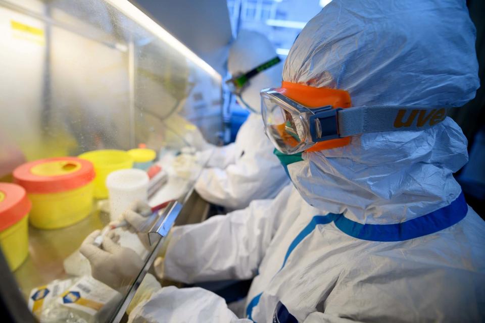 Workers in protective suits conduct RNA tests on specimens inside a laboratory: REUTERS