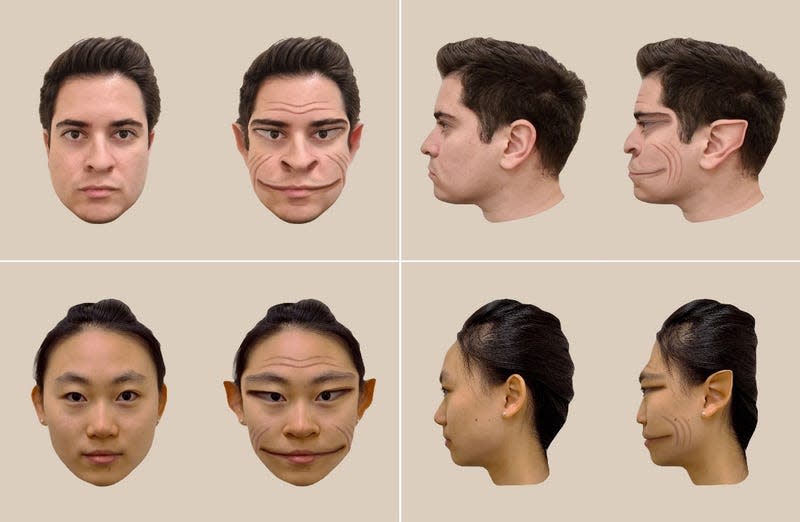 Male (top) and female (bottom) faces as perceived by the study patient. - Image: A. Mello et al.