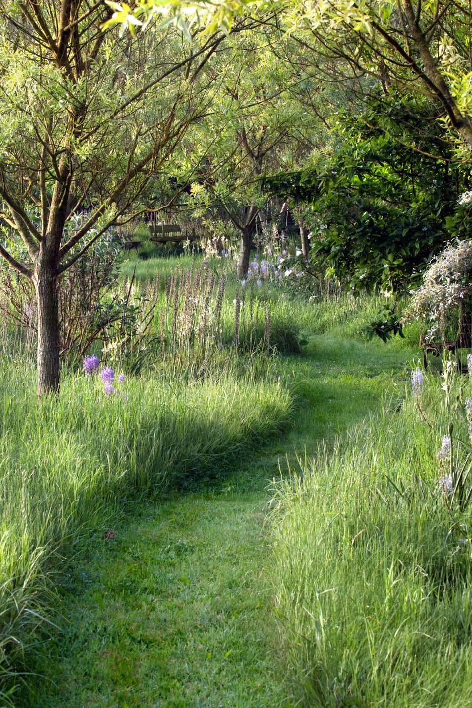 <p>The passageway in this garden looks straight out of a storybook—and re-creating it requires almost no effort. In fact, the first step is simply letting an area grow wild. (If your plot's bare, ryegrass seed will take care of the problem, fast.) Once the grass reaches great heights, plow a trail through it with a riding mower or weed wacker. From then on, a push mower can keep up appearances. And don't worry about weed control or water; perfection is not the point. </p>