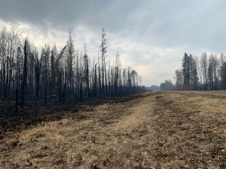 Brände haben Wälder und Grasland in der kanadischen Provinz Alberta geschwärzt