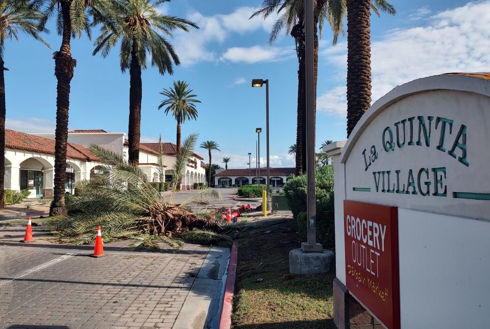 An uprooted palm tree blocks the entrance to the La Quinta Village Shopping Center on Monday. It was one of many downed trees in the La Quinta and La Quinta Cove area.