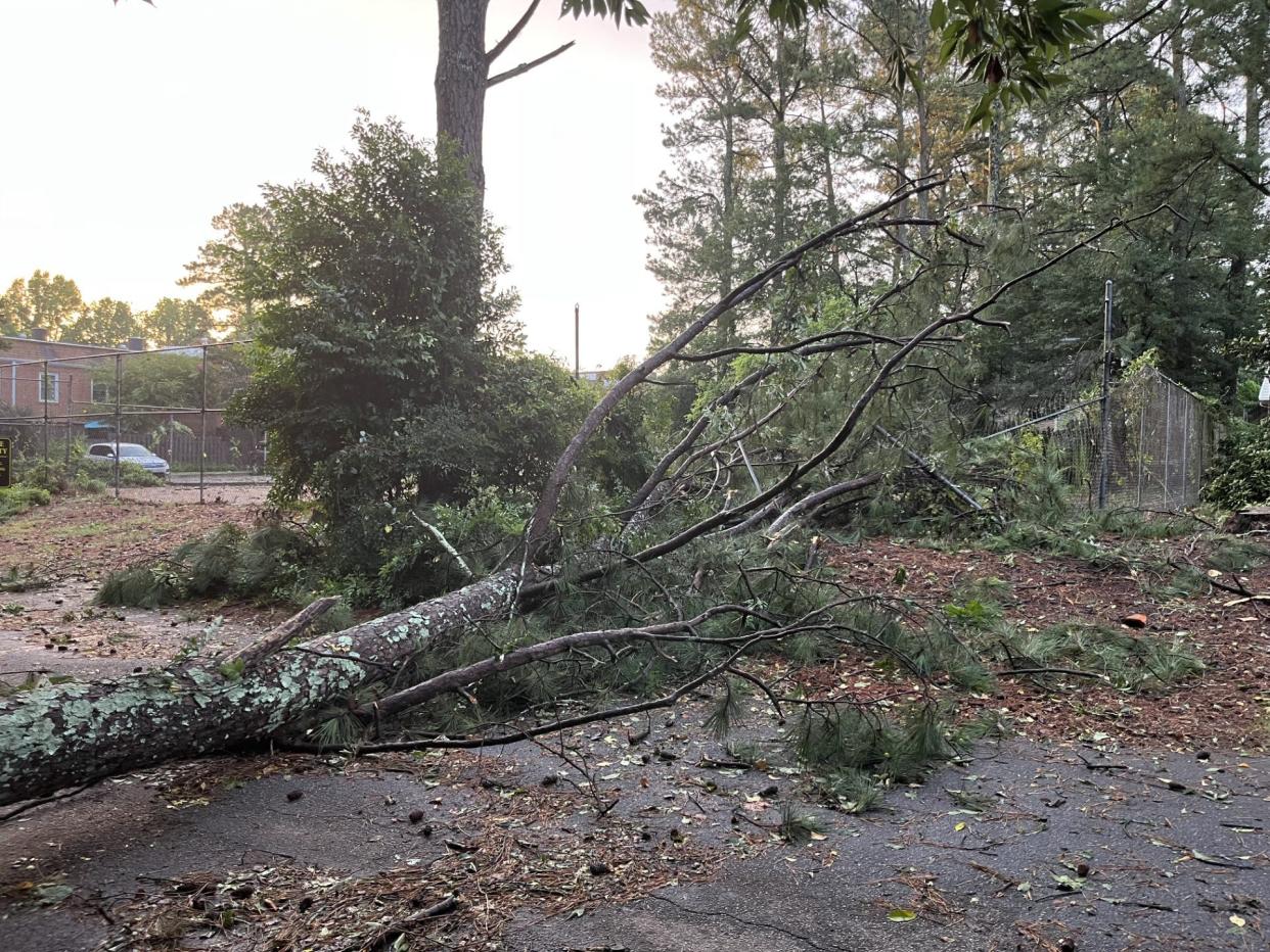 A tree downed by a powerful storm that hovered over Athens late Thursday, July 20, 2023, blocks Georgetown Drive and breached the fence of a tennis court. There are reports of several downed trees and widespread power outages following the storm.