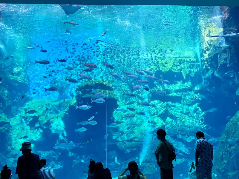 ▲想前往Xpark巨大水族箱、唯一低海拔原生亞熱帶雨林的大板根森林度假村等景點拍爆網美照的港澳朋友們，KKday平台更祭出好康優惠碼，共計最低可現殺44折。（圖／記者汪睿琦攝）