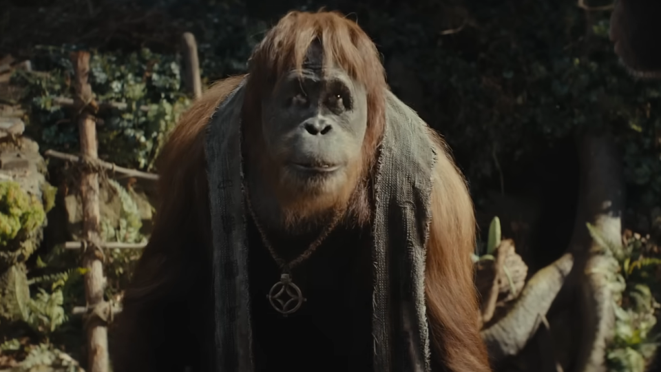 One of the apes in Kingdom of the Planet of the Apes.