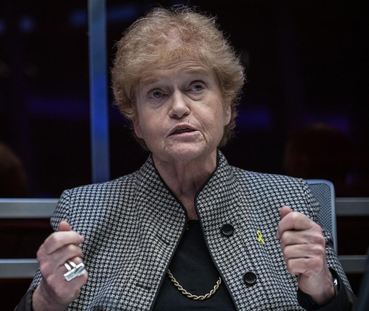 Prior to her career in the Biden administration, Lipstadt was an academic at Emory University