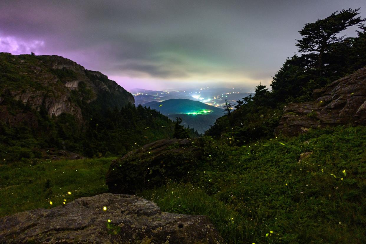 Grandfather Mountain will host synchronous firefly viewing events for the first time ever in the summer of 2022. Grandfather Glows Tickets go on sale May 23 and event dates are June 26, 29 and July 1. More information can be found at www.grandfather.com/firelies