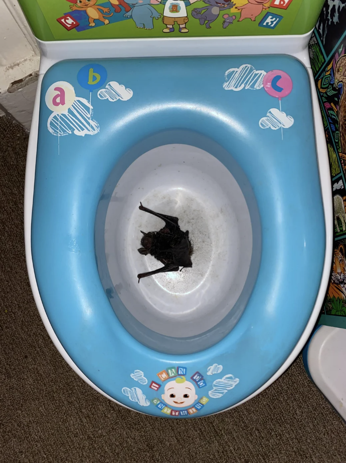 Child's potty training toilet with a frog inside