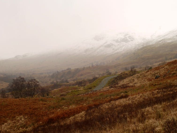 <span class="caption">The Glen FInglas Estate.</span> <span class="attribution"><span class="source">© Lisa Malm</span>, <span class="license">Author provided</span></span>