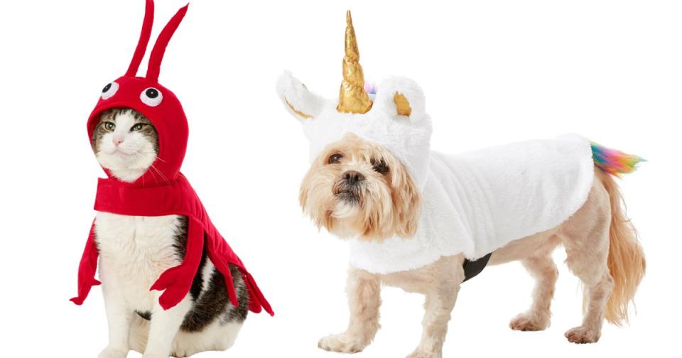 Your Pet Will Get All the Treats in One of These Adorable Pet Halloween Costumes