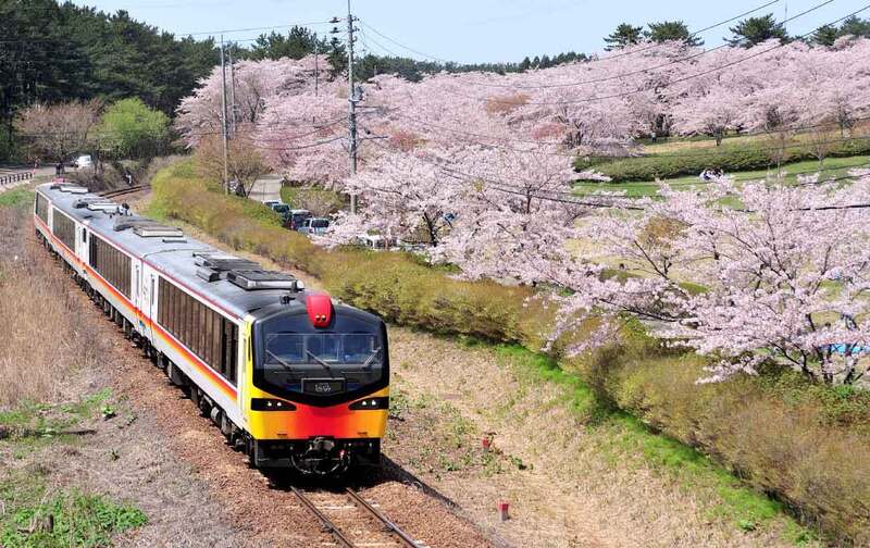 秋田航線載客率9成  賞櫻祕境公開 根據交通部民航局統計，2024年2月桃園-秋田航線載 客率突破9成。圖為御所之台公園可以看到JR列車白 神號穿過櫻花樹海的景色。 （秋田白神觀光提供） 中央社記者余曉涵傳真  113年3月26日 