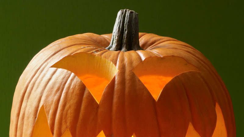 pumpkin carving ideas cannibal pumpkin