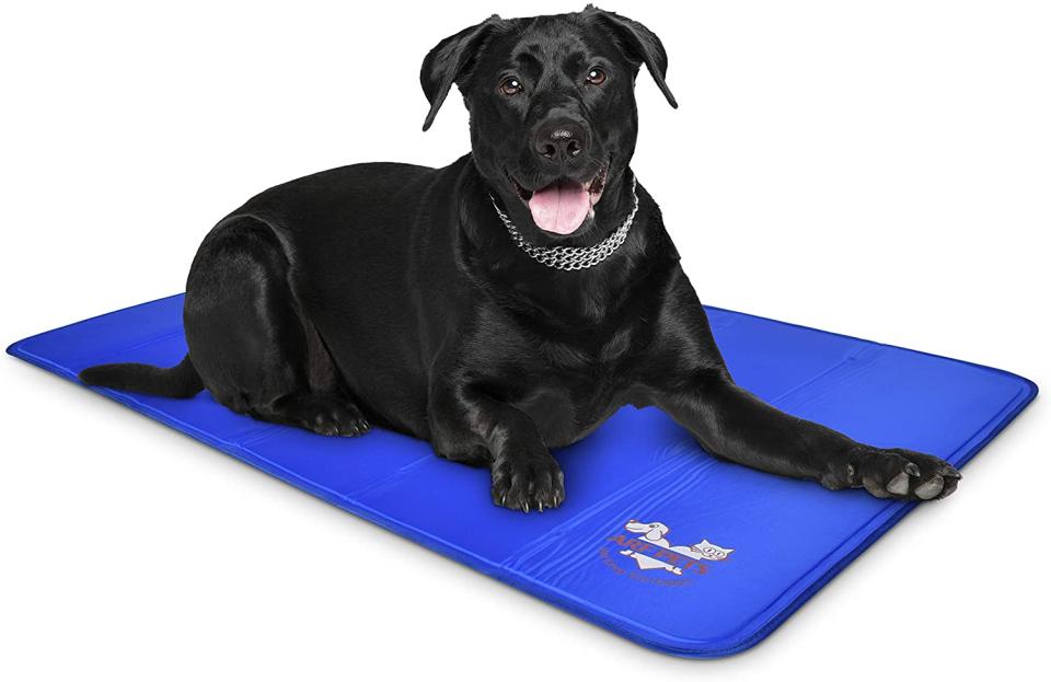 Users swear their pets love these mats. (Photo: Amazon)