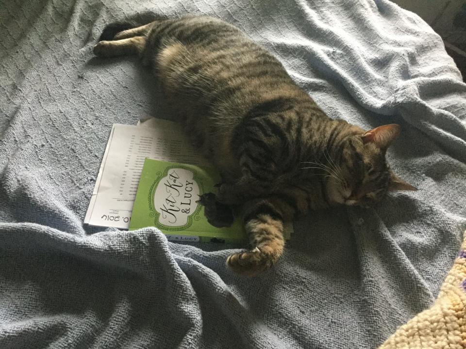 Nothing like falling asleep to a good book...