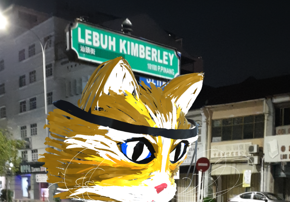 The Town-Cats can be viewed by scanning the street name signs using the Perk Reality app. — Picture courtesy of Aboud Fares