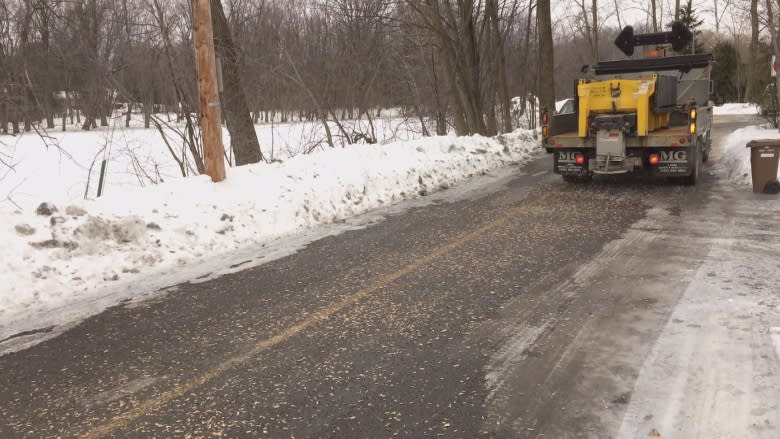 Quebec town swaps out salt for eco-friendly wood chips on icy roads