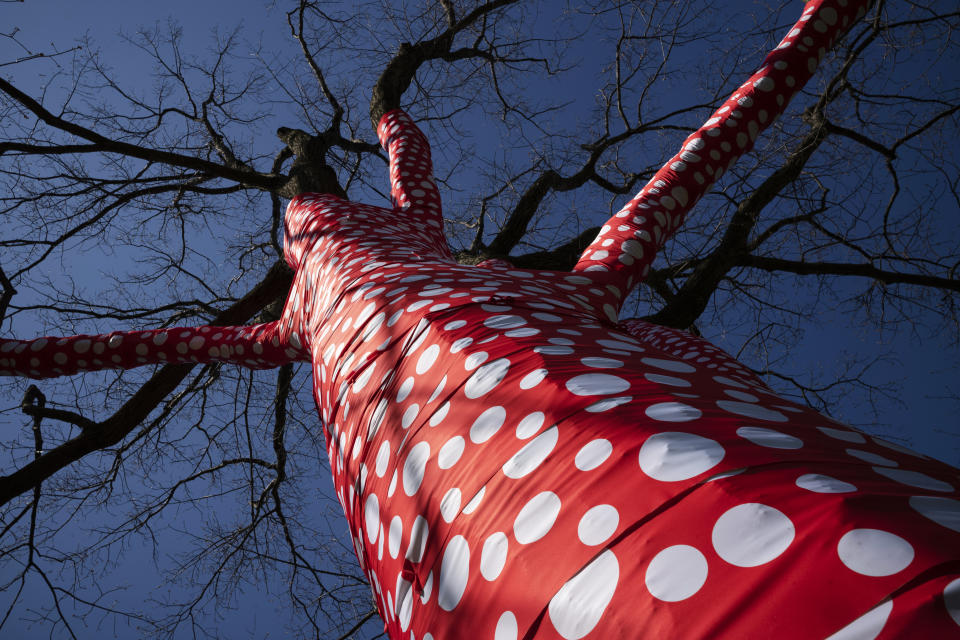 The sculpture "Ascension of Polka Dots on the Trees" by Japanese artist Yayoi Kusama is on display at the New York Botanical Garden, Thursday, April 8, 2021 in the Bronx borough of New York. The expansive exhibit has opened, and ticket sales have been brisk in a pandemic-weary city hungry for more outdoor cultural events. (AP Photo/Mark Lennihan)