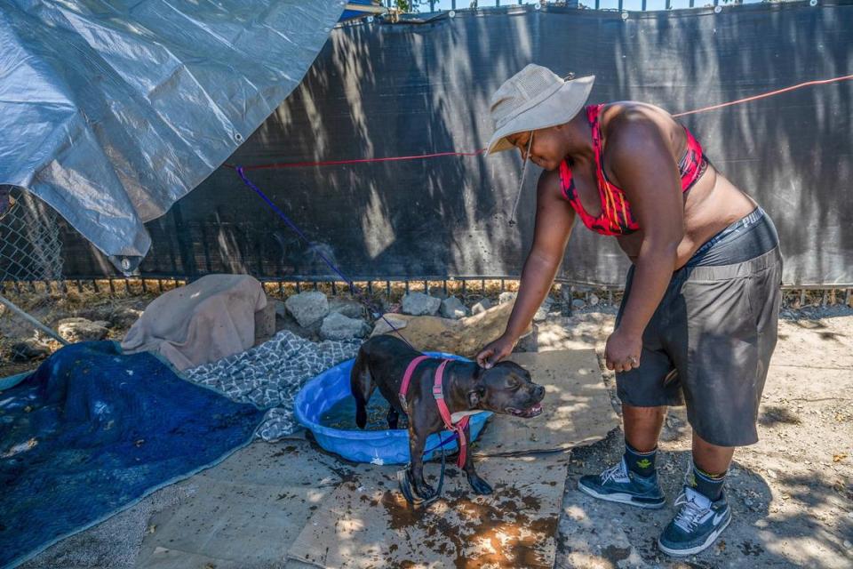 El lunes, Alaytreya Gregory creó una piscina de chapoteo para que su perro Mississippi y otros perros de la comunidad de indigentes de Camp Resolution se refrescaran del calor agobiante. Gregory está preocupada por todos los animales del campamento y por cómo sobrevivirán después de que el condado interrumpiera el suministro de agua.