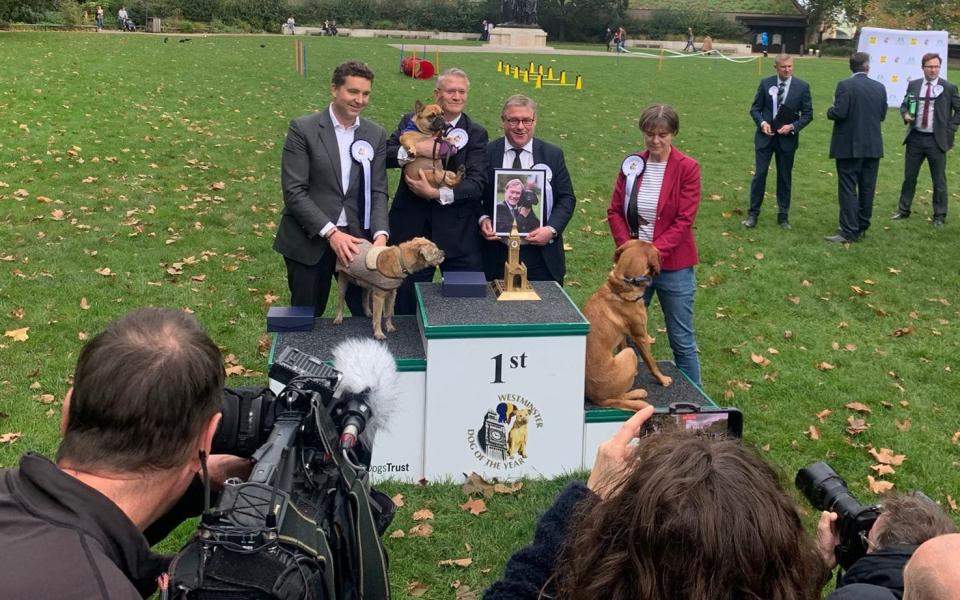 Vivienne takes first place, flanked by Edward Argar’s dog Stanley, in second (left), and Selaine Saxby’s dog, Henry, in third - Tony Diver/Twitter