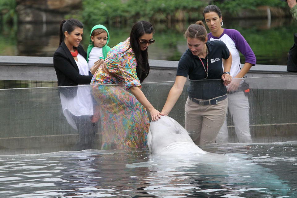 Kardashians Aquarium