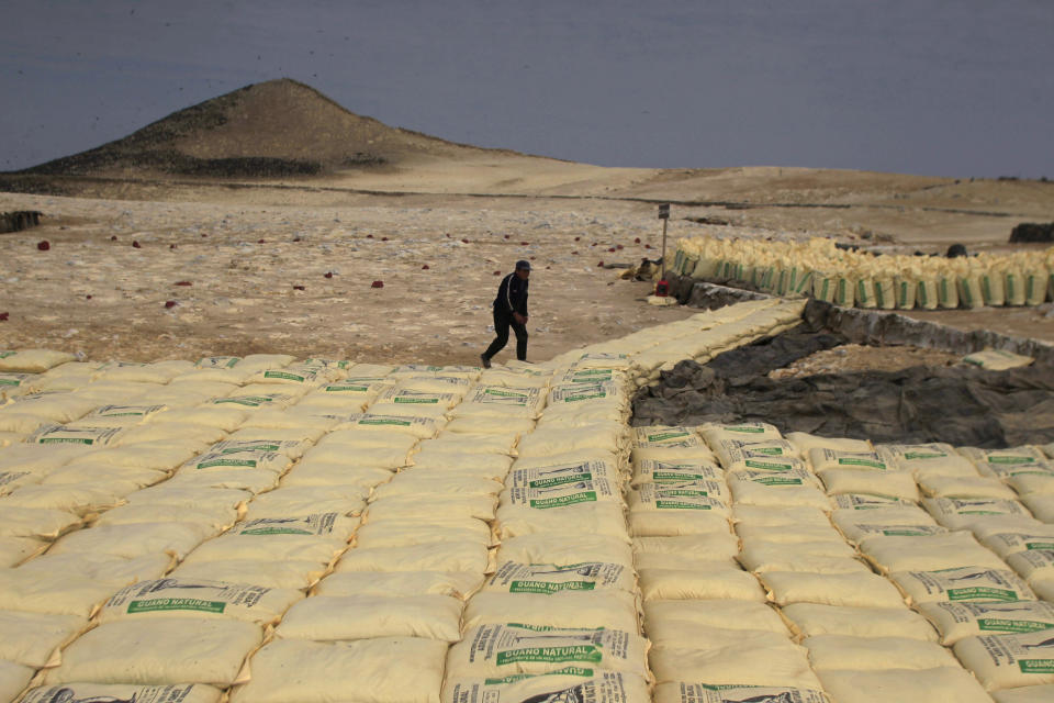 Un trabajador camnina alrededor de bolsas de guano en las isla Ballestas de Perú /REUTERS/Pilar Olivares