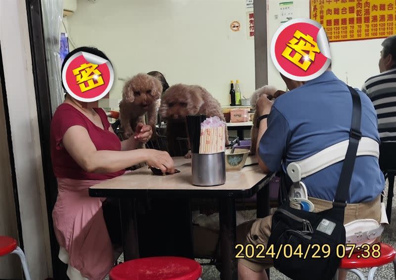 原PO表示牛肉麵店老闆沒有勸阻狗爬桌行為，因此向北市衛生局陳情。（圖／翻攝自 爆料公社）