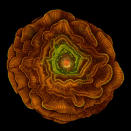 <b>9th place</b>: Sahar Khodaverdi, University of Tabriz, Tabriz, East Azerbaijan, Iran. Seed of Delphinium. The image was acquired from multiple Zstacked images using epi-fluorescence. (2012 Olympus BioScapes Digital Imaging Competition) <br> <br> <a href="http://olympusbioscapes.com/gallery/2012/index.html" rel="nofollow noopener" target="_blank" data-ylk="slk:Click here to see more entries from Olympus BioScapes 2012;elm:context_link;itc:0;sec:content-canvas" class="link ">Click here to see more entries from Olympus BioScapes 2012</a>