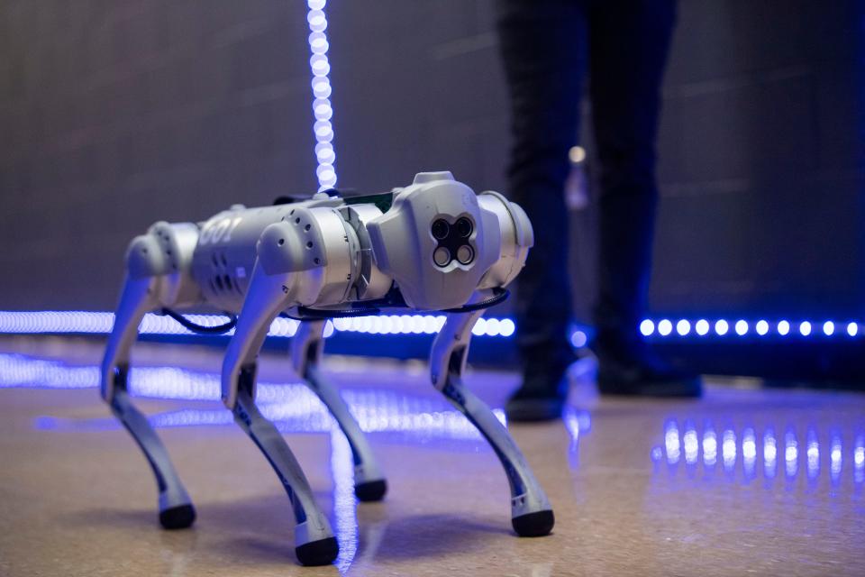 Blue is a Unitree Go1 Pro robot dog and ambassador for the Global SMART Technology Innovation Center at Tennessee State University's Avon Williams Campus in Nashville, Tenn., Thursday, Oct. 19, 2023.