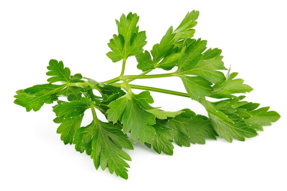 Looks like parsley, tastes a little more interesting, is literally never called for so why are we even talking about this?