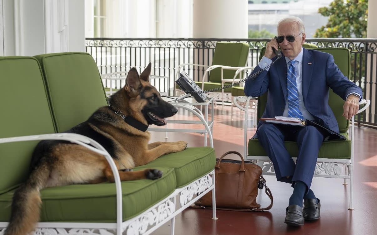 Joe Biden with Commander, who has been exiled from the White House