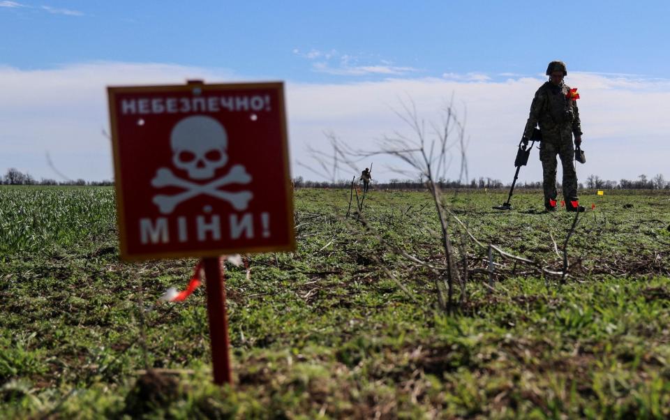 A Ukrainian military sapper inspects a field for explosive devices