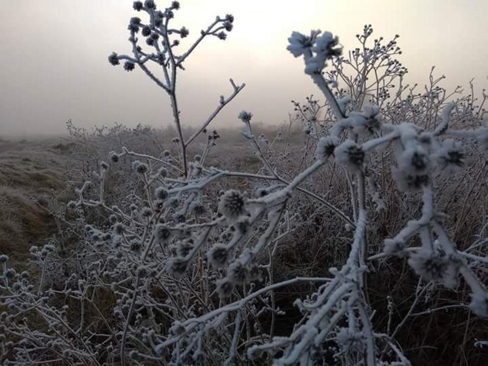 FOTOS: Tlaxcala se cubre de blanco por bajas temperaturas