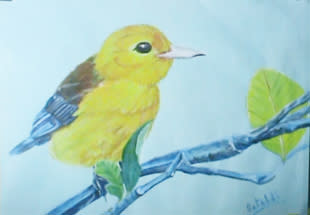 Yellow Bird