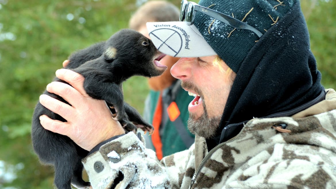 The Bear Whisperer