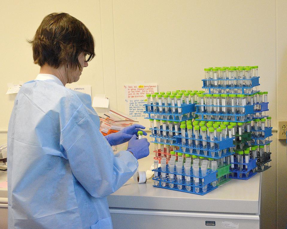 Donna Hosmer of the DPHHS State Public Health Laboratory labels tubes to be used in the COVID-19 testing process before the information is entered into a computer system for tracking purposes. DPHHS lab workers are doing testing daily to ensure results are made available as soon as possible,  officials said.