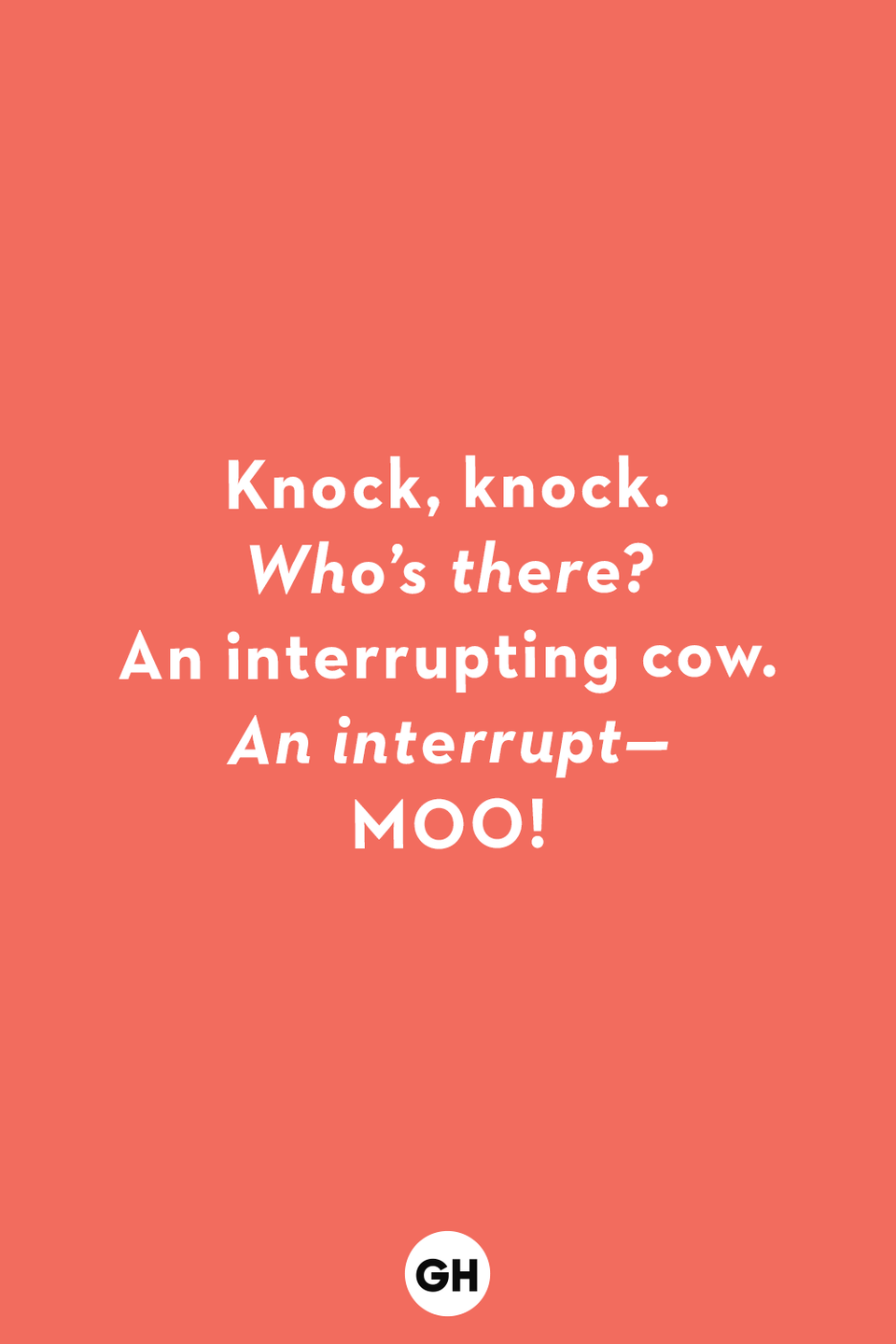 25) An Interrupting Cow