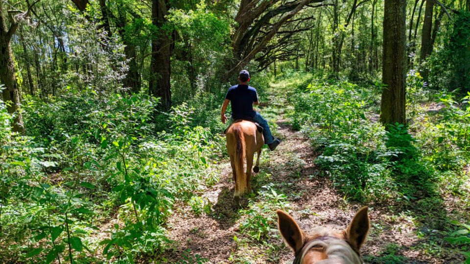 <div class="inline-image__caption"> <p>Horseback with The Barnyard.</p> </div> <div class="inline-image__credit"> Brandon Withrow </div>