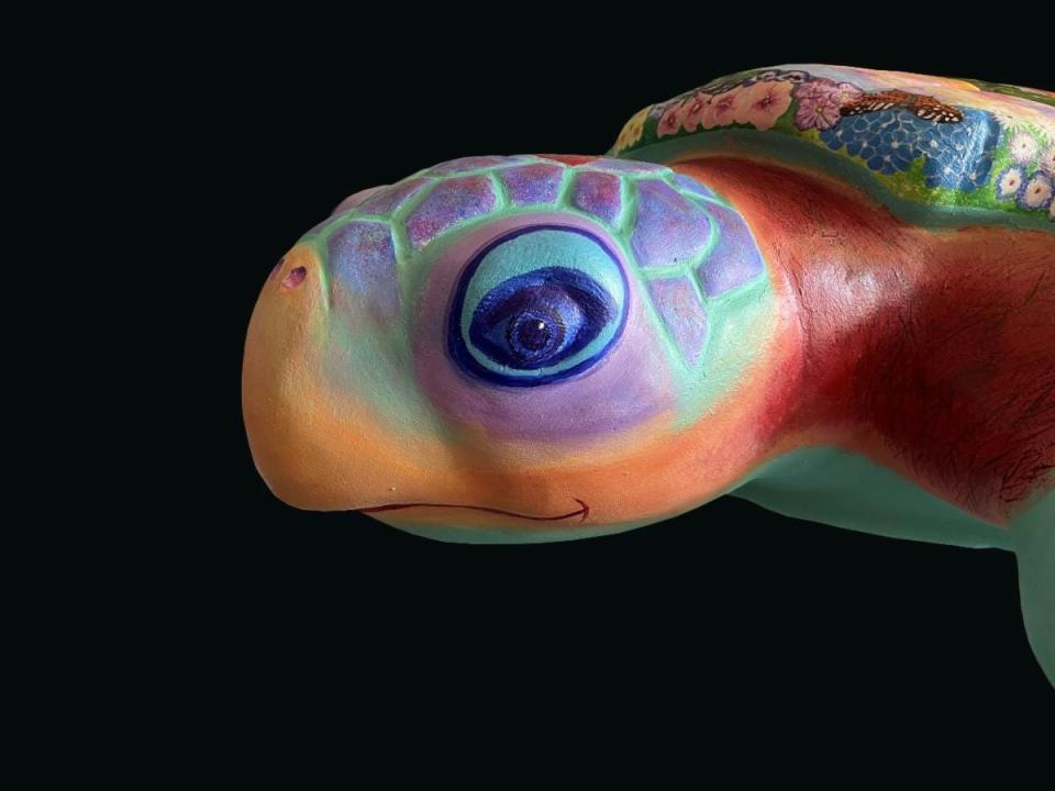 Palm Coast Arts Foundation's latest turtle, "Louis," will be unveiled Saturday, Jan. 22.