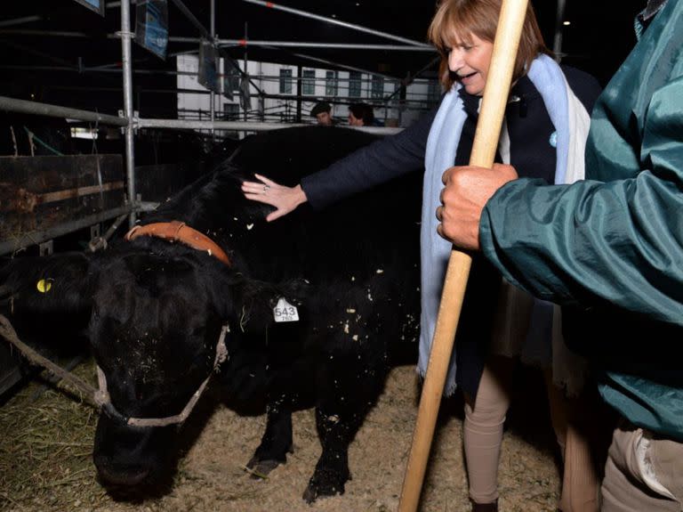 Patricia Bullrich en la exposición ganadera de Angus