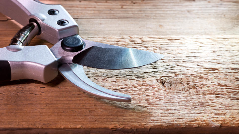 A pair of bypass pruning shears on a wooden surface