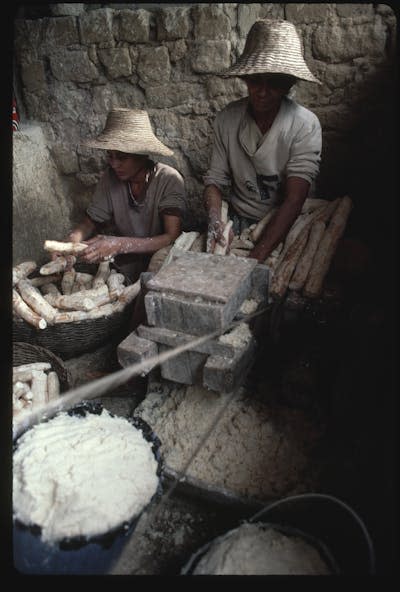 two women with hats peeling and chopping tubers