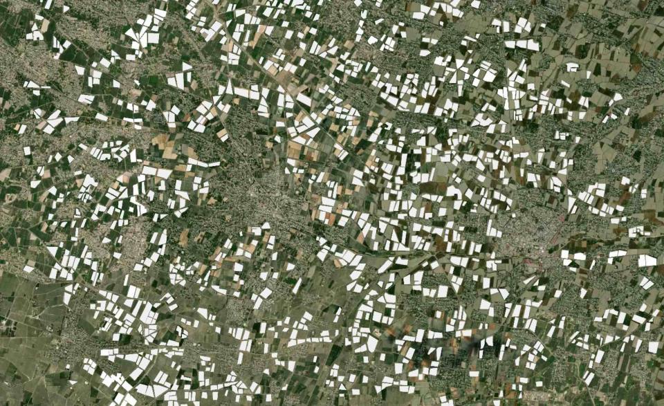 A view from the a satellite image of cotton fields in Uzbekistan remotely detected using Marple’s CoCuRA technology in 2022. <br>