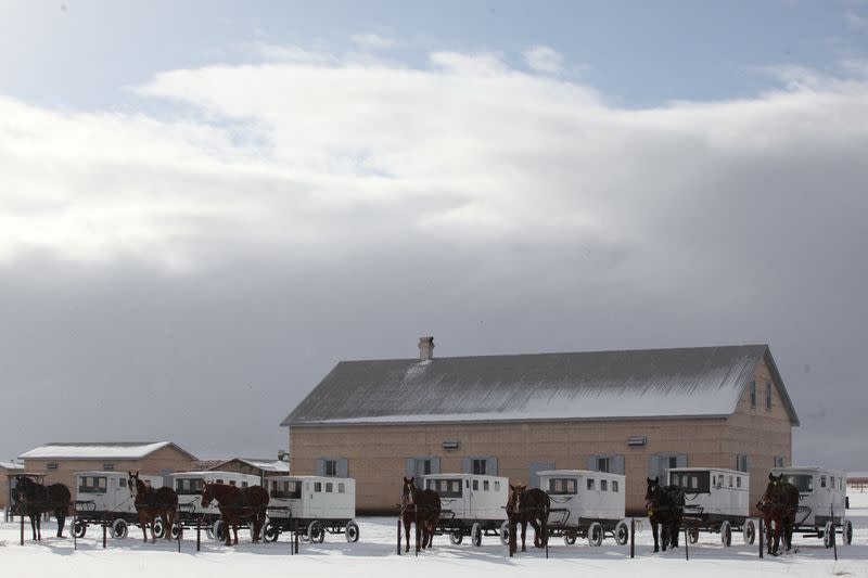 The Wider Image: In Mexico, a decade of images shows Mennonites' traditions frozen in time