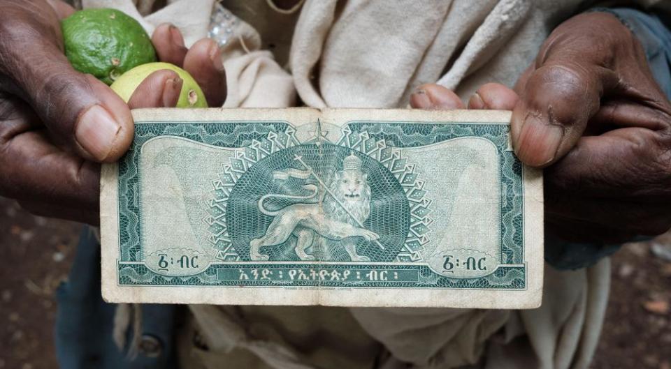 an ethiopian bank note featuring a lion