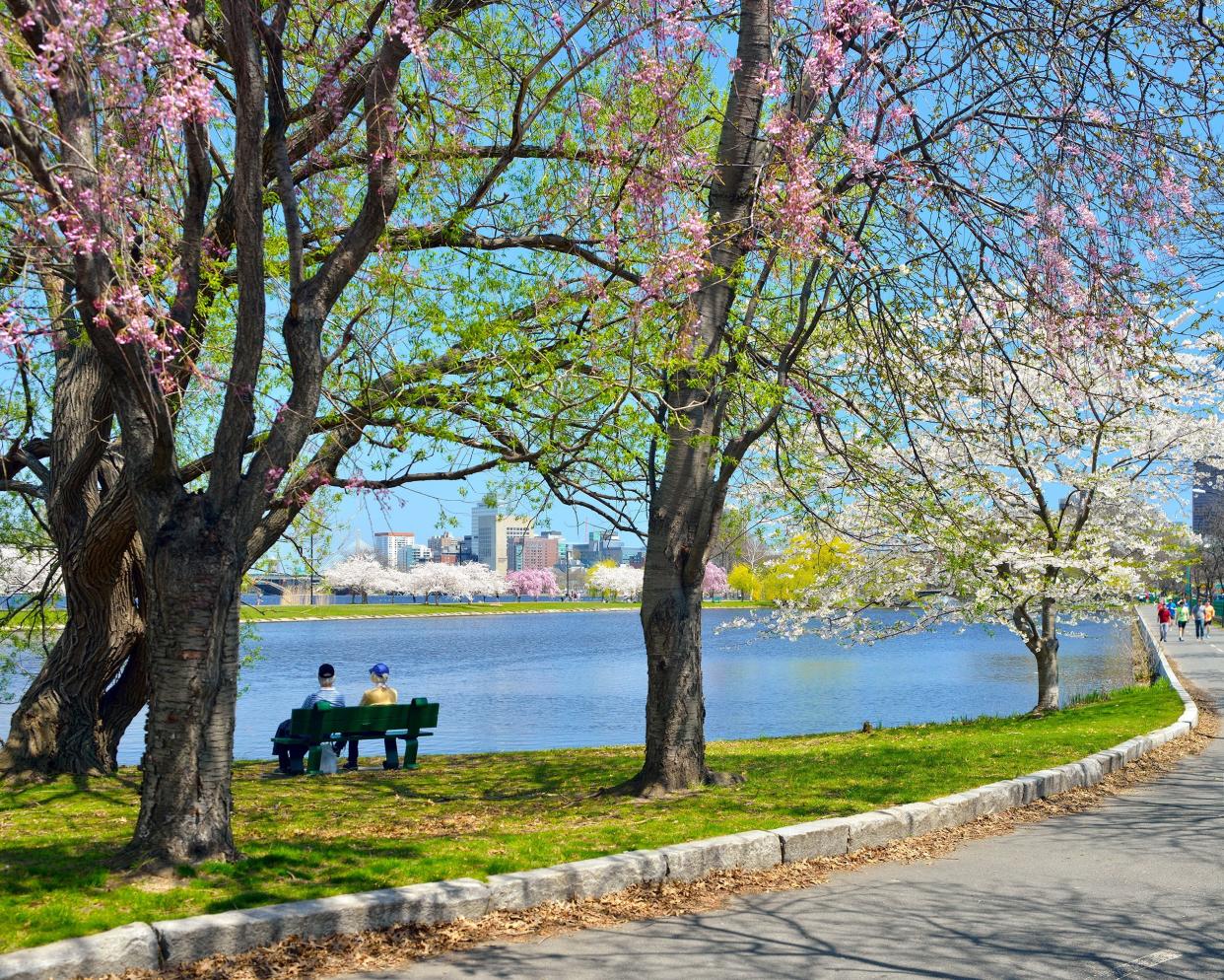 senior couple sitting together on a bench at a park overlooking Charles River