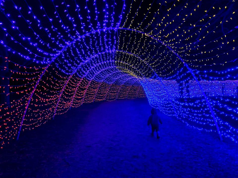 Maple Street Park features a tunnel of lights in Essex Junction on Nov. 27.
(Photo: APRIL MCCULLUM/FREE PRESS)