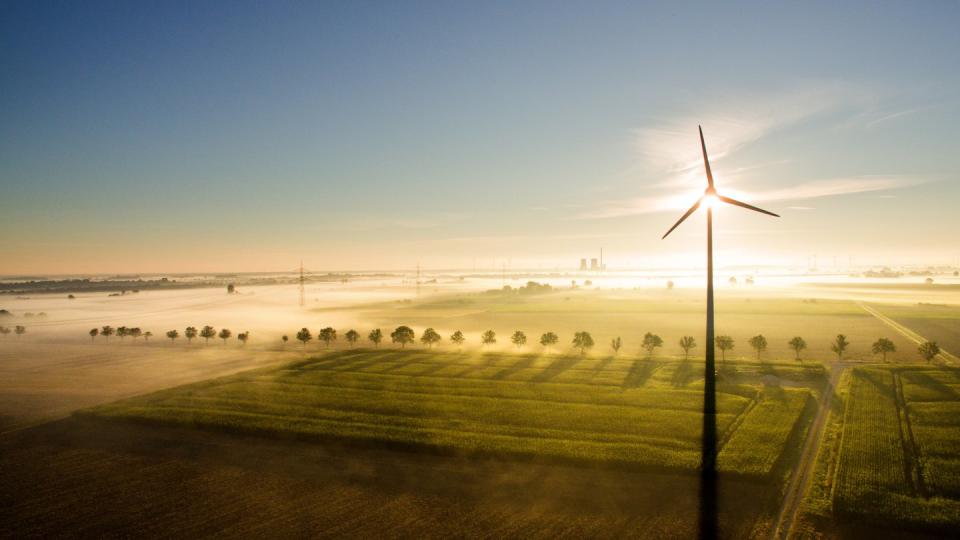 Strom aus C02-neutralen Quellen wie Windenergie hilft dem Klima. Grüne Diensteanbieter, die solche Energie einkaufen, erkennt man etwa am Ökostrom-Label «Grüner Strom» oder «ok-Power». Foto: Julia Stratenschulte