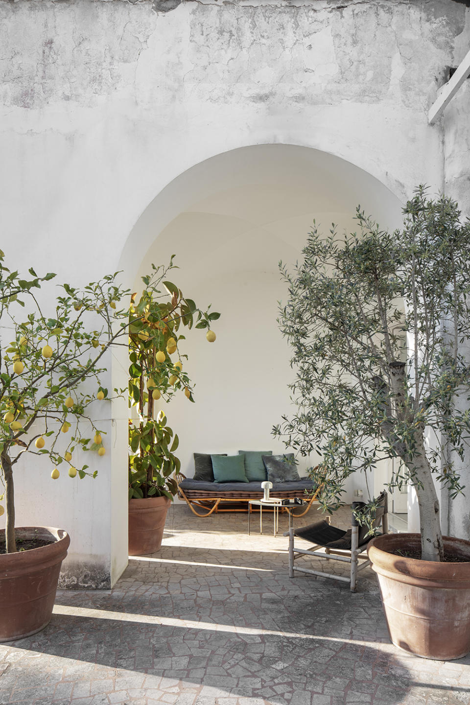 Patio in Capri with lemon and olive trees 