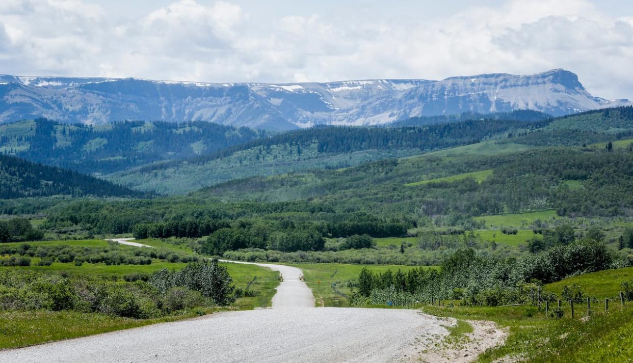 A section of the eastern slopes southwest of Longview, Alta., on June 16, 2021. Several companies are seeking compensation after the province changed its laws regarding coal mining in the mountains. (Jeff McIntosh/The Canadian Press - image credit)