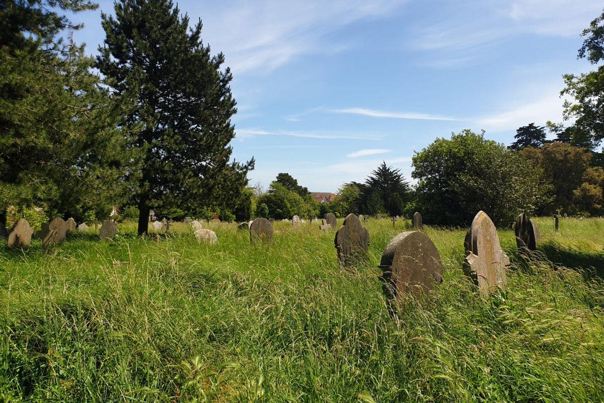 Overgrown Melcombe Regis cemetery in Weymouth <i>(Image: NQ)</i>